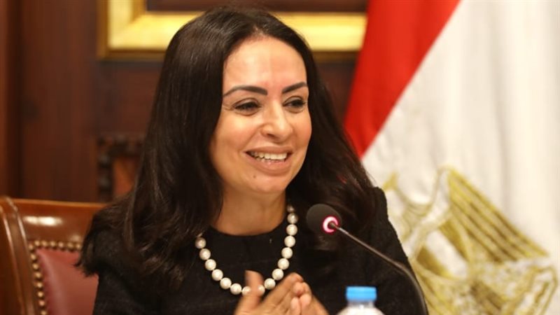 الدكتورة مايا مرسي،فيتو