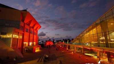 فعاليات حملة الستة عشر يومًا للقضاء على العنف ضد المرأة بمكتبة الإسكندرية