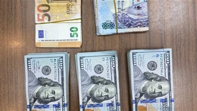 تهريب عملات أجنبية وهجرة غير شرعية الأبرز.. أمن المنافذ يضبط 23 قضية متنوعة بالموانئ