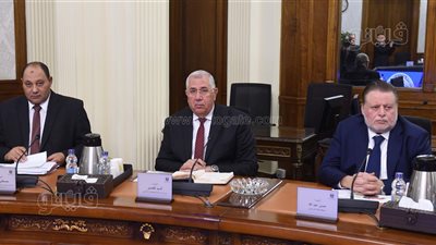 وزير الزراعة: 960 ألف طن إجمالي كميات فول الصويا والذرة المفرج عنها حتى 1 ديسمبر