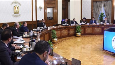 مدبولي بشأن زيادة سعر الأعلاف: أجهزة الدولة الرقابية ستتدخل