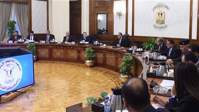 مدبولي: الدولة لن تسمح بعدم استقرار قطاع صناعة الدواجن