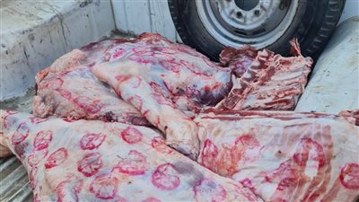 بيطري المنوفية: ضبط 120 كيلو لحوم بلدية فاسدة