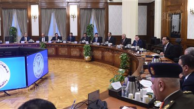 الحكومة تتابع آليات توفير الأعلاف.. مدبولي: الدولة لن تسمح بعدم استقرار قطاع صناعة الدواجن.. والأجهزة الرقابية ستتدخل