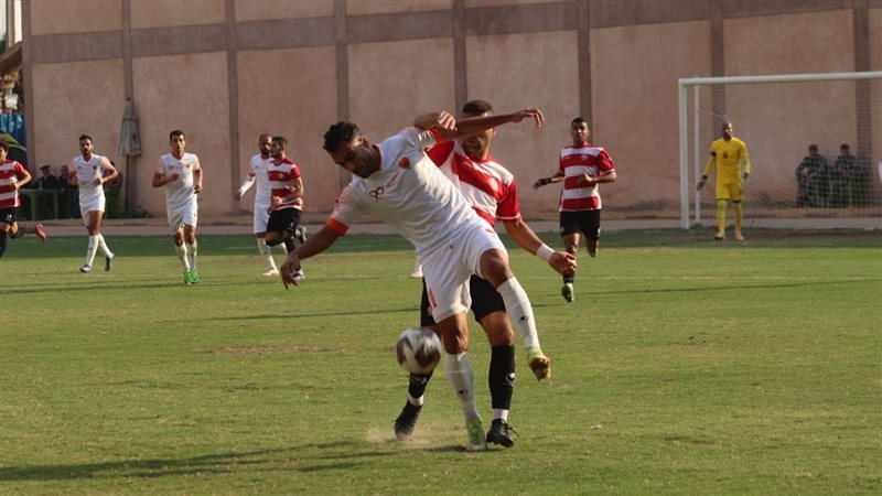 مجموعة بحري، فيتو