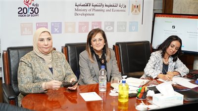 اللجنة الوزارية لـ القومي لتنمية الأسرة تتابع الموقف التنفيذي لخطط المشروع