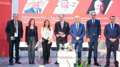 أشرف السيد: 290 مليون دولار صادرات الفراولة بنهاية العشرة أشهر الأولى من العام الحالى 