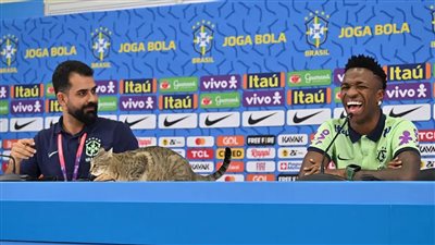 كأس العالم 2022، قطة تقتحم المؤتمر الصحفي لمنتخب البرازيل.. شاهد ماذا حدث