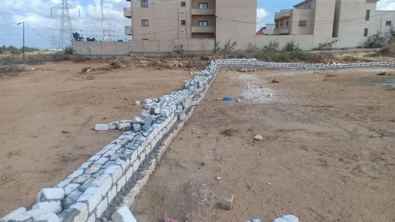 الاسكندريه 