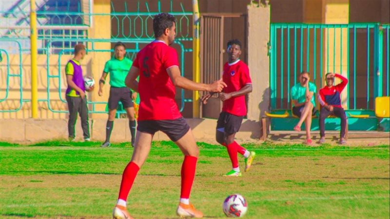 القسم الثاني، فيتو