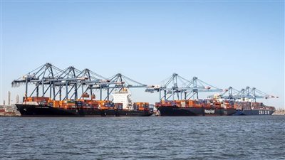 ميناء دمياط يستقبل 12 سفينة بضائع 