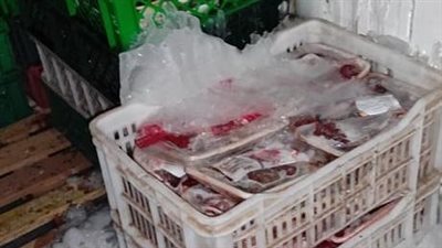 ضبط 10 أطنان لحوم ودواجن وأسماك غير صالحة للاستهلاك الآدمي في المنوفية