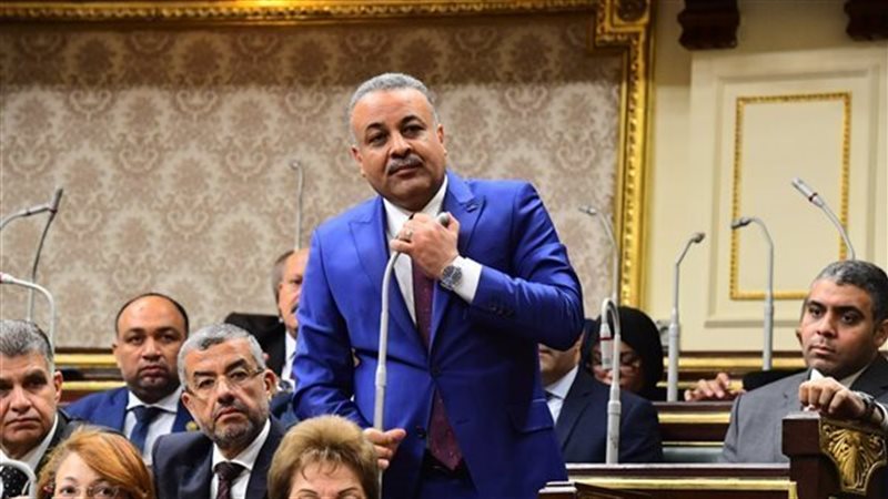 النائب عاطف ناصر،