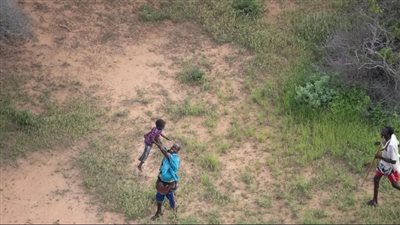 6 أيام وسط الحيوانات المفترسة.. نجاة طفل عمره 4 سنوات من الموت