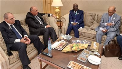 سامح شكري يلتقي نظيره الموريتاني في الرياض