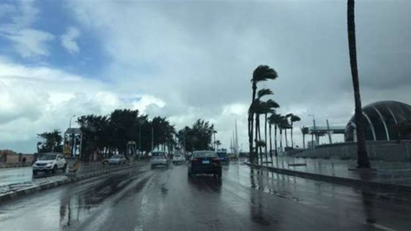 أمطار ورياح، فيتو