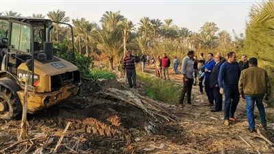 إزالة 5 مكامير فحم مخالفة فى حملة مكبرة بدمياط (صور)