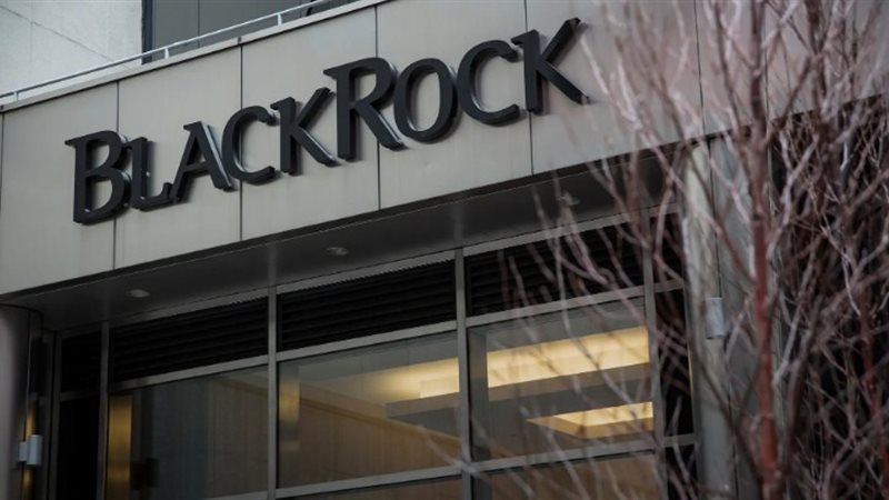 شركة BlackRock، فيتو
