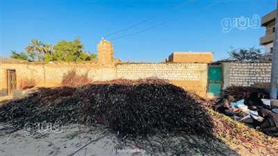 افتتاح معرض 