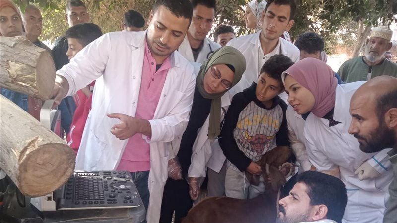  قافلة بيطرية،فيتو