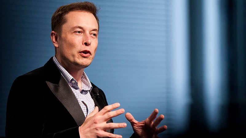 إيلون ماسك، فيتو