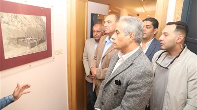 شحاتة: مصر نسيج واحد تحت مظلة 