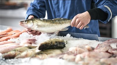 تفسير رؤية بائع السمك في المنام وعلاقته بالجاه والمال