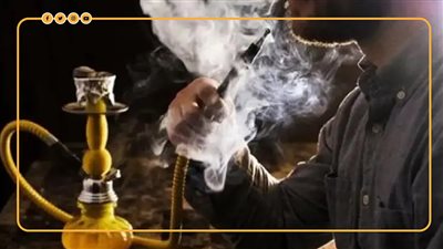 شروط الحصول على رخصة تقديم الشيشة فى المطاعم والكافيهات والمقاهى (إنفوجراف)