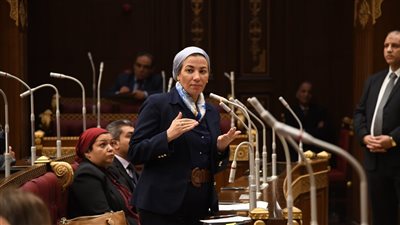 مجلس الشيوخ: COP27 نقلة نوعية في تاريخ مؤتمرات المناخ السابقة