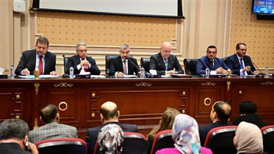 التصالح في مخالفات البناء، السجيني: جلسات الاستماع تاريخية ولن نخالف الدستور