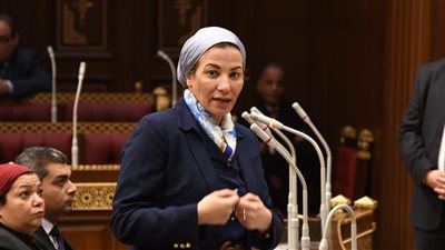 وزيرة البيئة تكشف نتائج مؤتمر المناخ أمام مجلس الشيوخ وتؤكد: شهد أداء جماعيا وطنيا.. وحرصنا على تمثيل المجتمع المدني