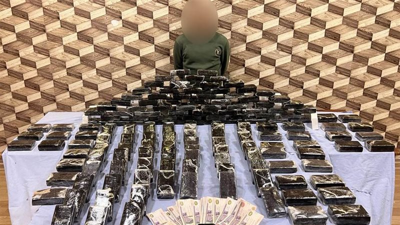 ضبط مخدر الحشيش،