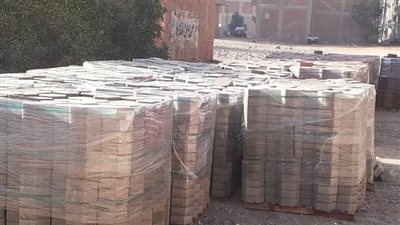 محافظ الشرقية: رفع كفاءة وتجميل شوارع الحسينية 