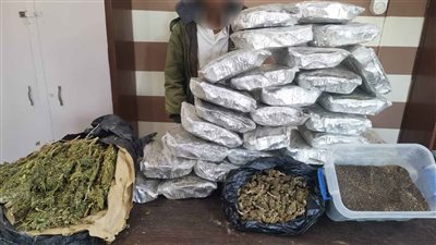 ضبط 55 كيلو لمخدر الهيدرو وبذور الخشخاش في شمال سيناء