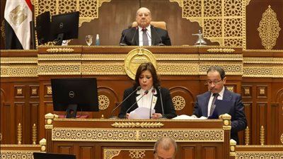 الشيوخ يوافق على إنشاء صندوق مصر الرقمية 