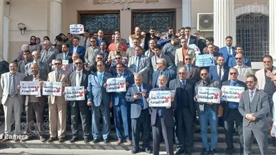 وقفة صامتة لمحامي مطروح أمام المحكمة رفضا للفاتورة الإلكترونية (صور) 