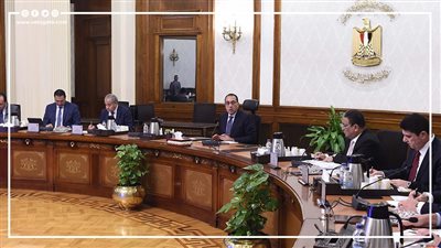 8 قرارات عاجلة من مجلس الوزراء لضبط أسعار السلع (إنفوجراف)