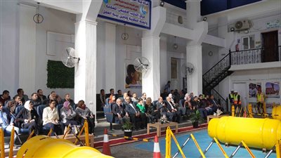 وفد الوكالة الأمريكية يتفقد مشروعات الصرف الصحى 