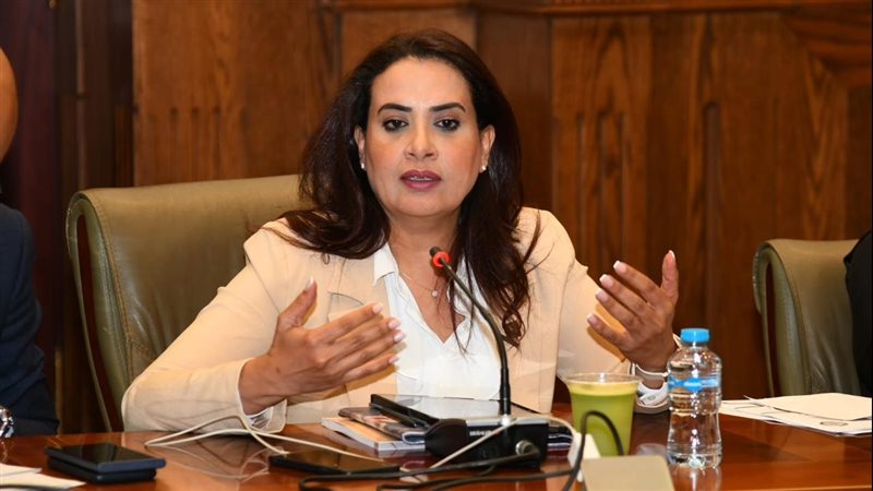 النائبة راجية الفقي