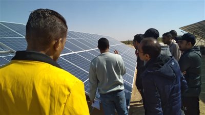 القوى العاملة: تدريب الشباب في مجال الطاقة الشمسية بالوادي الجديد