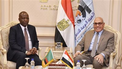 رئيس العربية للتصنيع يبحث تعزيز التعاون مع وزير التكنولوجيا في زامبيا 