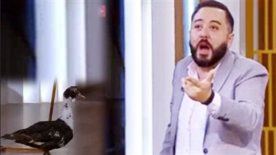 بسبب بطة.. عمرو عبد العزيز يهدد 