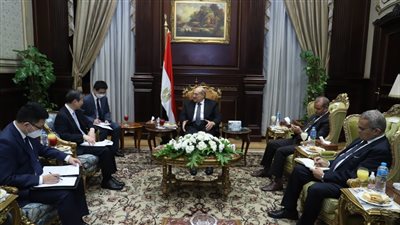 رئيس مجلس الشيوخ يستقبل السفير الصينى 