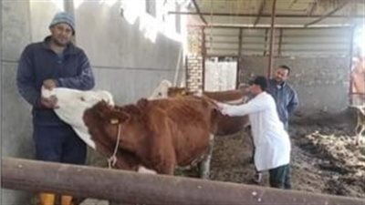 مديرية الطب البيطري بالبحيرة تواصل القوافل المجانية (صور)