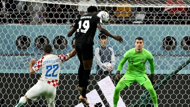 دومينيك ليفاكوفيتش،فيتو