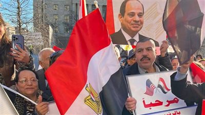 الجالية المصرية تستقبل السيسي في واشنطن بهتافات تحيا مصر (صور) 