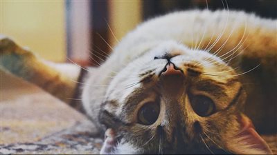  من أول البشر الذين 