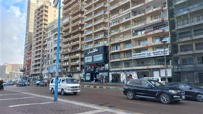 سطوع أشعة الشمس واستقرار الأحوال الجوية في الإسكندرية (صور)