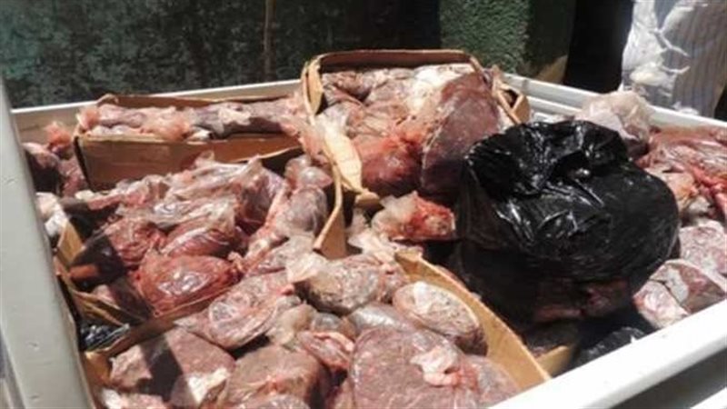 ضبط لحوم فاسدة بالجيزة،