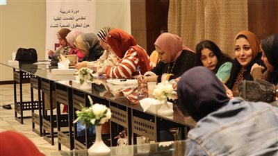 مؤسسة القاهرة للتنمية تنظم تدريبا للحد من العنف ضد النساء 